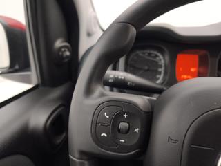 FIAT Panda Cross usata, con Servosterzo