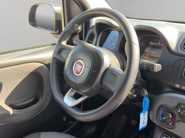 FIAT Panda usata 10