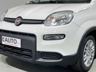 FIAT Panda usata 28