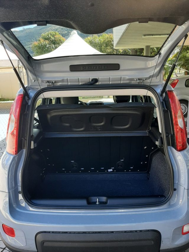FIAT Panda usata, con Servosterzo