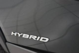 LEXUS UX 250h usata, con Sensori di parcheggio posteriori