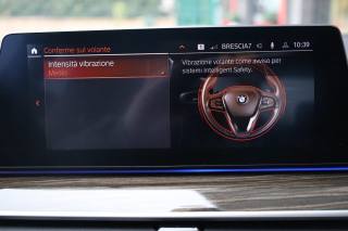 BMW 530 usata 179