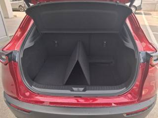 MAZDA CX-30 usata, con Chiusura centralizzata