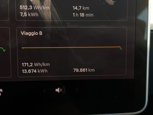 TESLA Model 3 usata 15