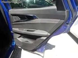 RENAULT Austral usata, con Fendinebbia