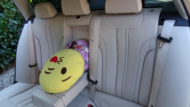 BMW 530 usata 74