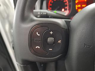 FIAT Panda usata, con Cronologia tagliandi