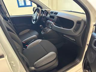 FIAT Panda usata 13