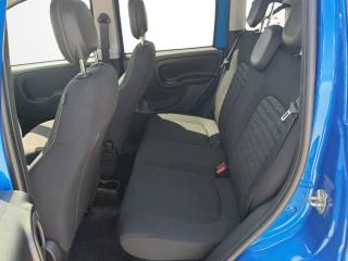 FIAT Panda usata, con Cruise Control