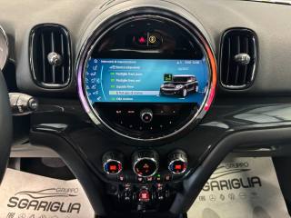 MINI Countryman usata, con Controllo vocale