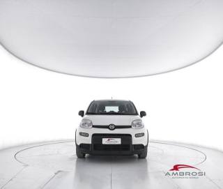 FIAT Panda usata 4