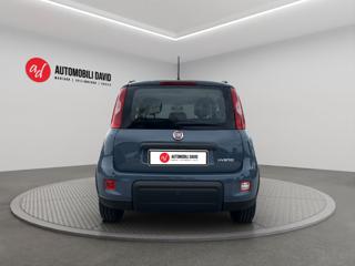 FIAT Panda usata, con Antifurto