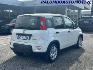 FIAT Panda usata, con Antifurto