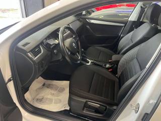 SKODA Octavia usata, con Fendinebbia
