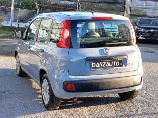 FIAT Panda usata, con Airbag testa