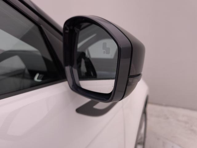 LAND ROVER Range Rover Evoque usata, con Bracciolo