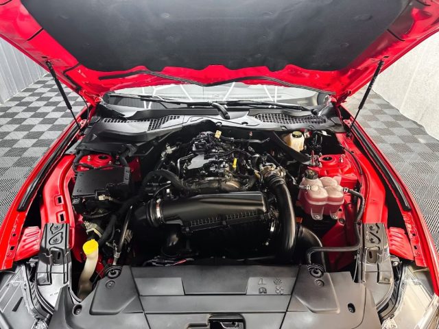 FORD Mustang usata, con Controllo elettronico della corsia