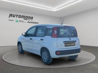 FIAT Panda usata 5