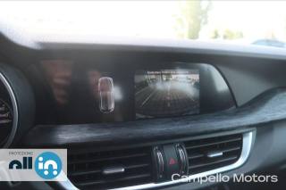 ALFA ROMEO Stelvio usata 9