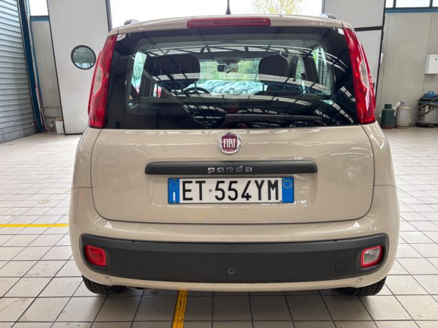 FIAT Panda usata 5