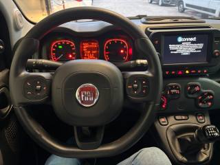 FIAT Panda Cross usata, con Fendinebbia