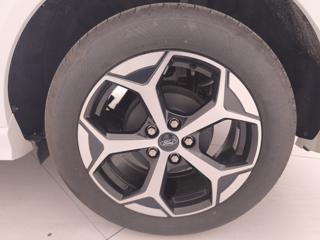 FORD Puma usata, con Fari LED