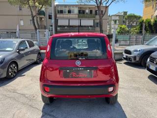 FIAT Panda usata, con Antifurto