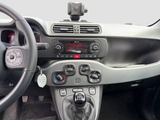 FIAT Panda usata 15