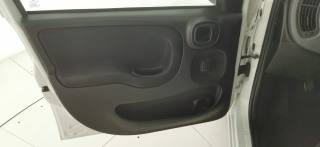 FIAT Panda usata 36