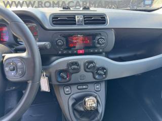 FIAT Panda usata, con Climatizzatore