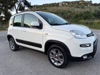 FIAT Panda usata, con Controllo trazione
