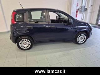 FIAT Panda usata, con USB