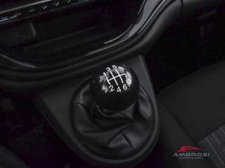 FIAT 500 usata 14