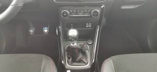 FORD EcoSport usata, con Cronologia tagliandi
