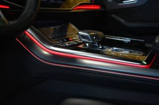 AUDI RS Q8 usata 53