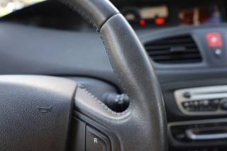 RENAULT Scenic usata, con Bracciolo