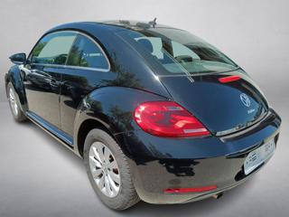 VOLKSWAGEN Maggiolino usata, con Airbag Passeggero