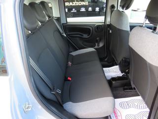 FIAT Panda usata, con Airbag testa