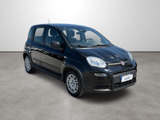 FIAT Panda usata, con Airbag Passeggero