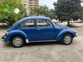 VOLKSWAGEN Maggiolone usata 5