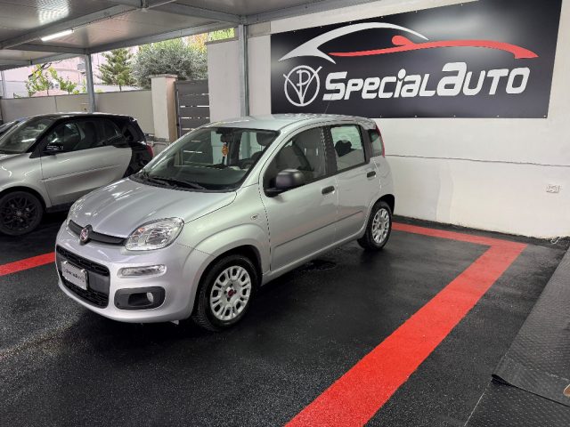 FIAT Panda usata 2
