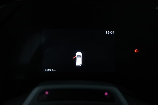 LEXUS RX 450h usata 6