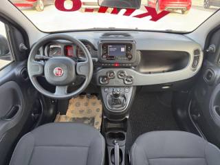 FIAT Panda usata 18