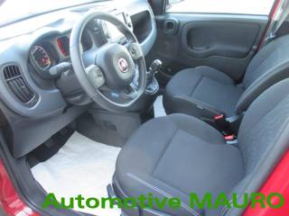 FIAT Panda Cross usata, con Fendinebbia