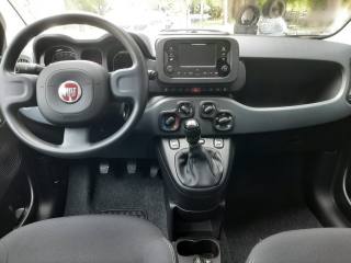 FIAT Panda usata 13