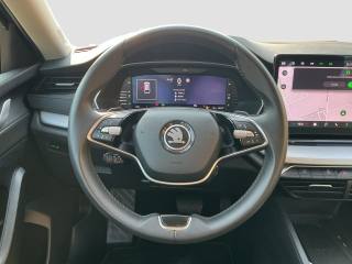 SKODA Octavia usata 11