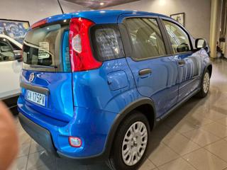 FIAT Panda usata, con Chiusura centralizzata