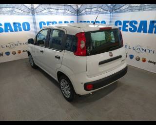FIAT Pandina usata, con Alzacristalli elettrici