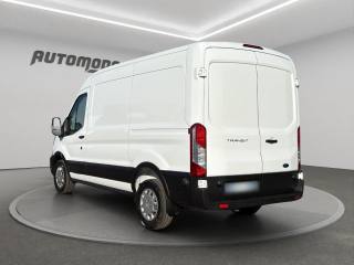 FORD Transit usata, con Fendinebbia