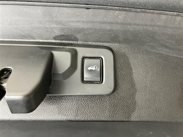 RENAULT Austral usata 28